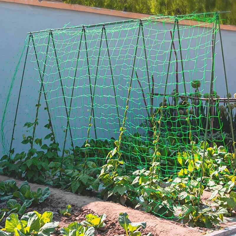 Heavy-Duty Garden Trellis Netting – Square Mesh Net for Climbing Plants & Vegetables