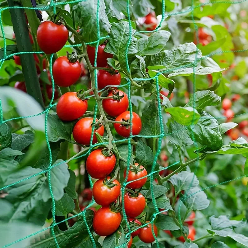 Heavy-Duty Garden Trellis Netting – Square Mesh Net for Climbing Plants & Vegetables
